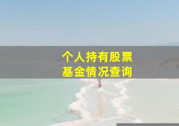 个人持有股票基金情况查询