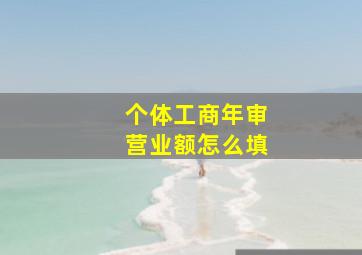 个体工商年审营业额怎么填