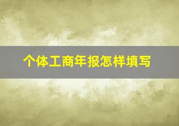 个体工商年报怎样填写