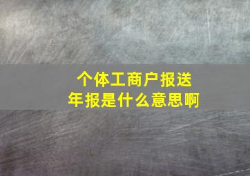 个体工商户报送年报是什么意思啊