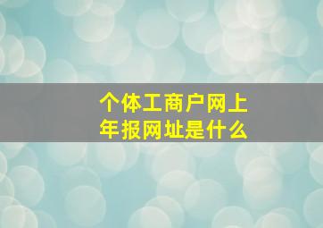 个体工商户网上年报网址是什么