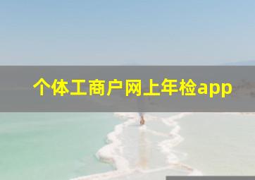 个体工商户网上年检app