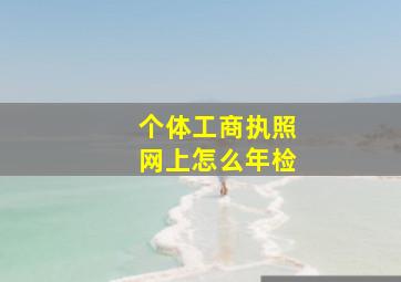 个体工商执照网上怎么年检