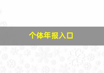 个体年报入口