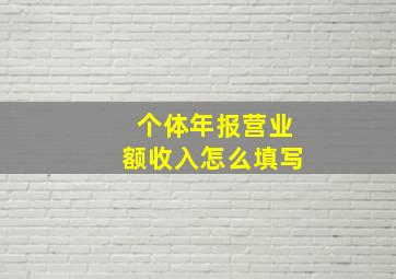 个体年报营业额收入怎么填写