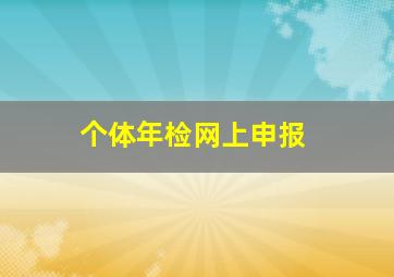 个体年检网上申报