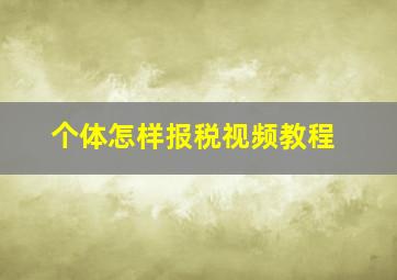 个体怎样报税视频教程