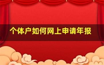 个体户如何网上申请年报