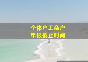 个体户工商户年报截止时间