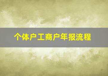 个体户工商户年报流程