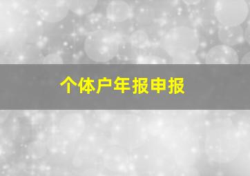 个体户年报申报