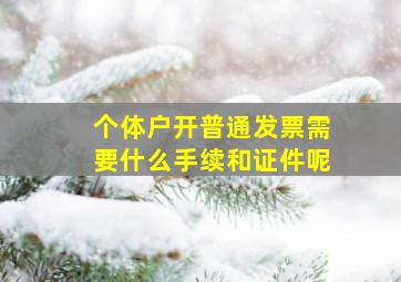 个体户开普通发票需要什么手续和证件呢