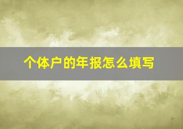 个体户的年报怎么填写