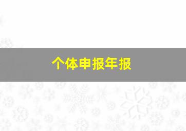 个体申报年报