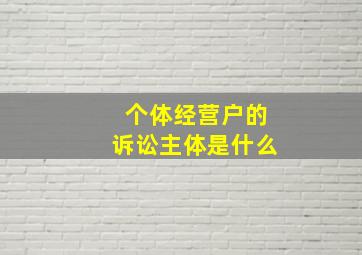 个体经营户的诉讼主体是什么