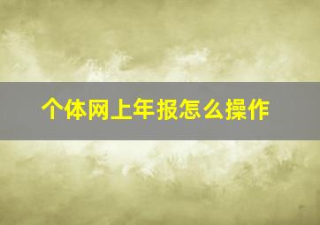 个体网上年报怎么操作