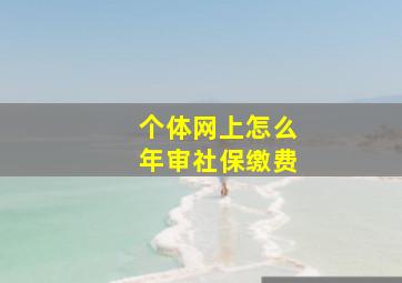 个体网上怎么年审社保缴费