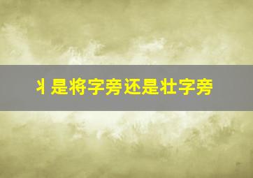 丬是将字旁还是壮字旁