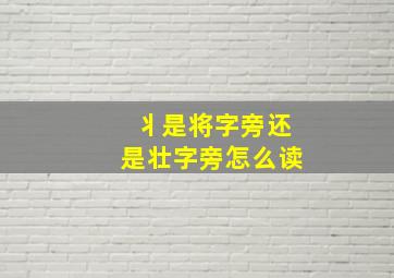 丬是将字旁还是壮字旁怎么读