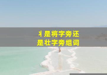 丬是将字旁还是壮字旁组词