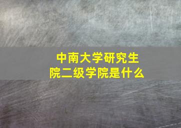 中南大学研究生院二级学院是什么