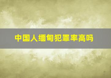 中国人缅甸犯罪率高吗