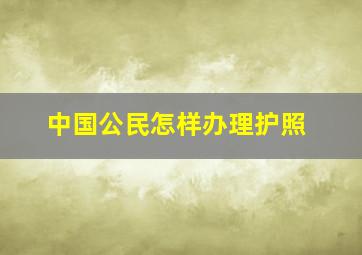 中国公民怎样办理护照