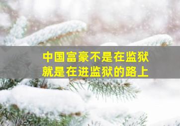 中国富豪不是在监狱就是在进监狱的路上