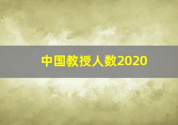 中国教授人数2020