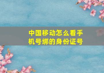 中国移动怎么看手机号绑的身份证号