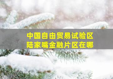 中国自由贸易试验区陆家嘴金融片区在哪