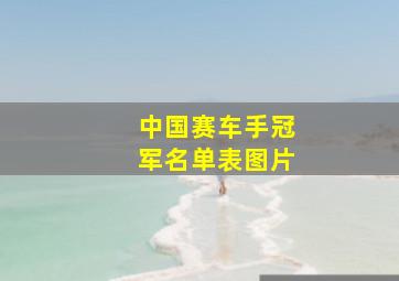 中国赛车手冠军名单表图片