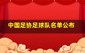 中国足协足球队名单公布