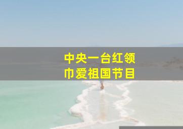 中央一台红领巾爱祖国节目