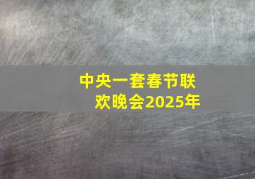 中央一套春节联欢晚会2025年