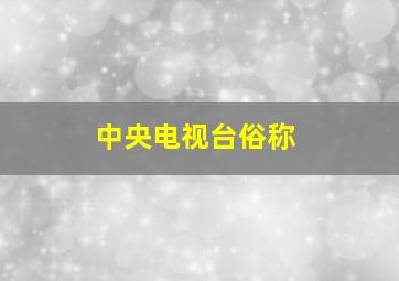 中央电视台俗称