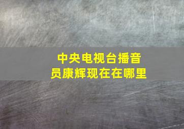 中央电视台播音员康辉现在在哪里