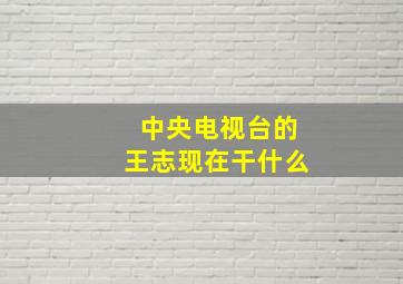 中央电视台的王志现在干什么