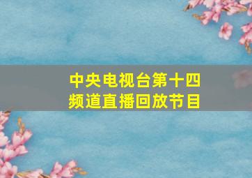 中央电视台第十四频道直播回放节目