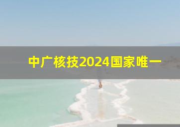 中广核技2024国家唯一