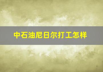 中石油尼日尔打工怎样