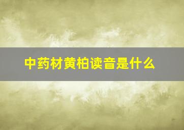 中药材黄柏读音是什么