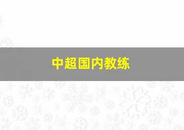 中超国内教练