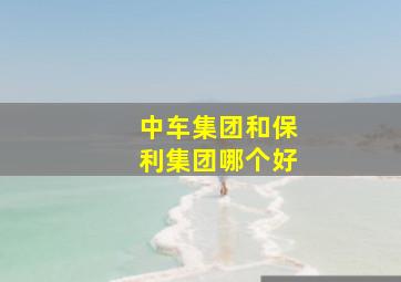 中车集团和保利集团哪个好