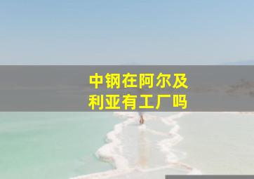 中钢在阿尔及利亚有工厂吗