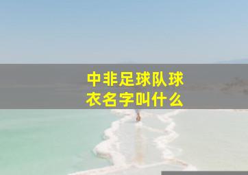 中非足球队球衣名字叫什么