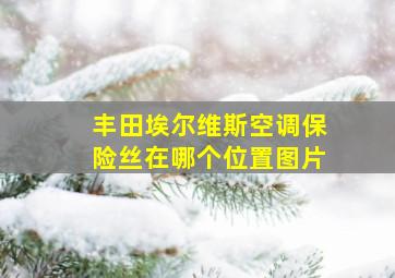 丰田埃尔维斯空调保险丝在哪个位置图片