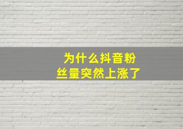 为什么抖音粉丝量突然上涨了