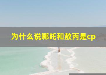 为什么说哪吒和敖丙是cp