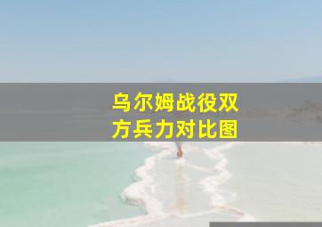 乌尔姆战役双方兵力对比图